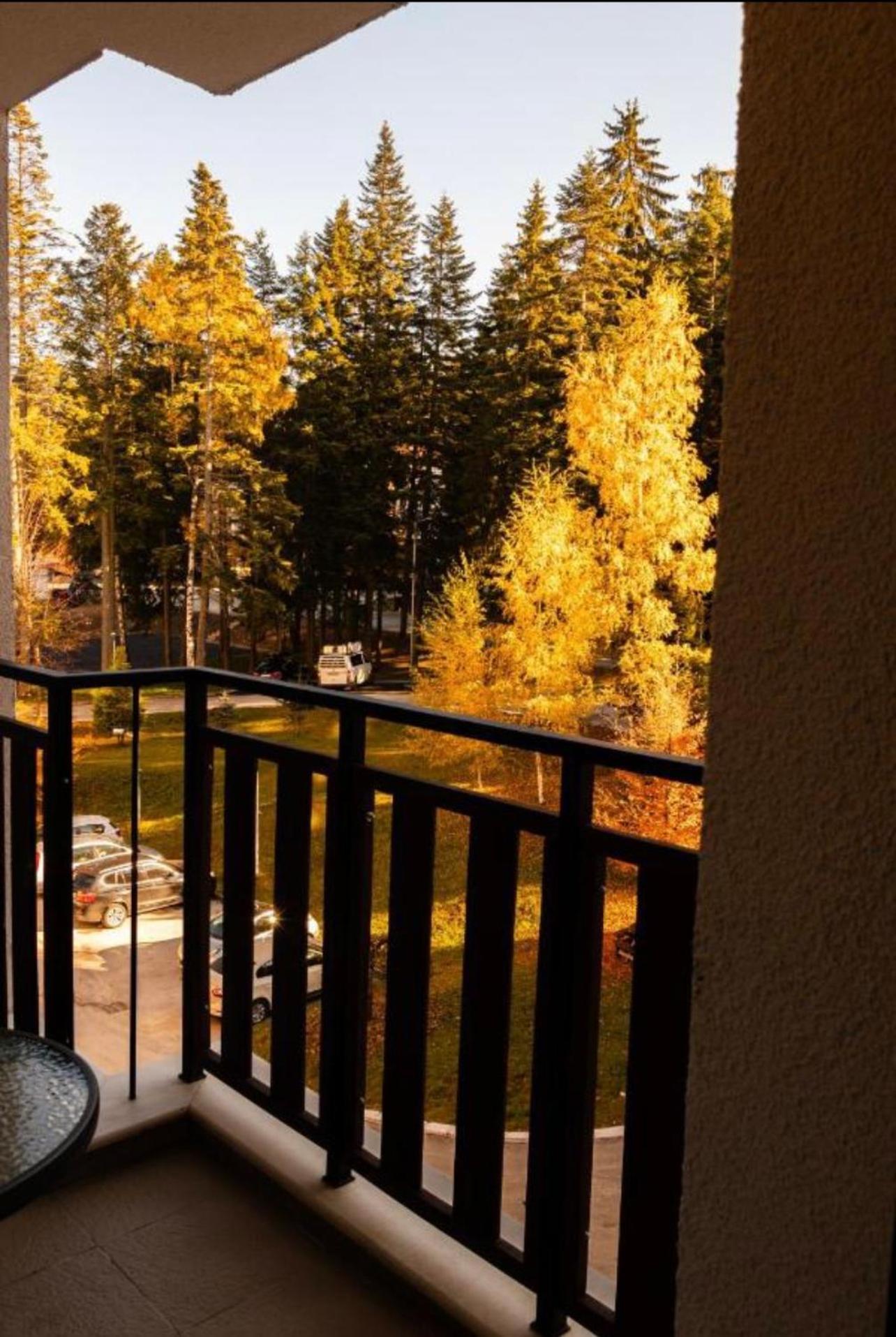 Borovets Gardens B21 Morunov Apart Exterior foto
